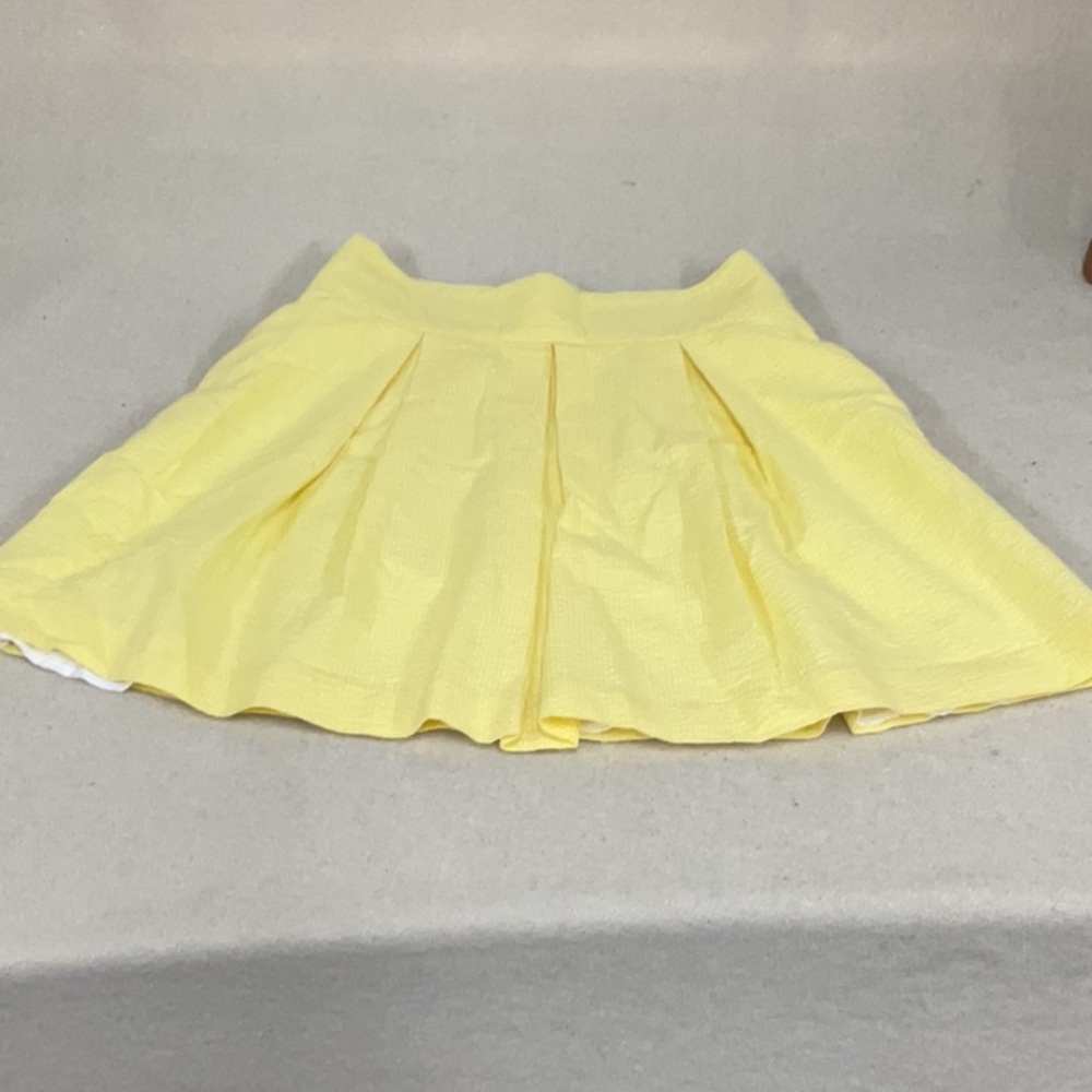 EUC woman’s Lauren James lined skirt